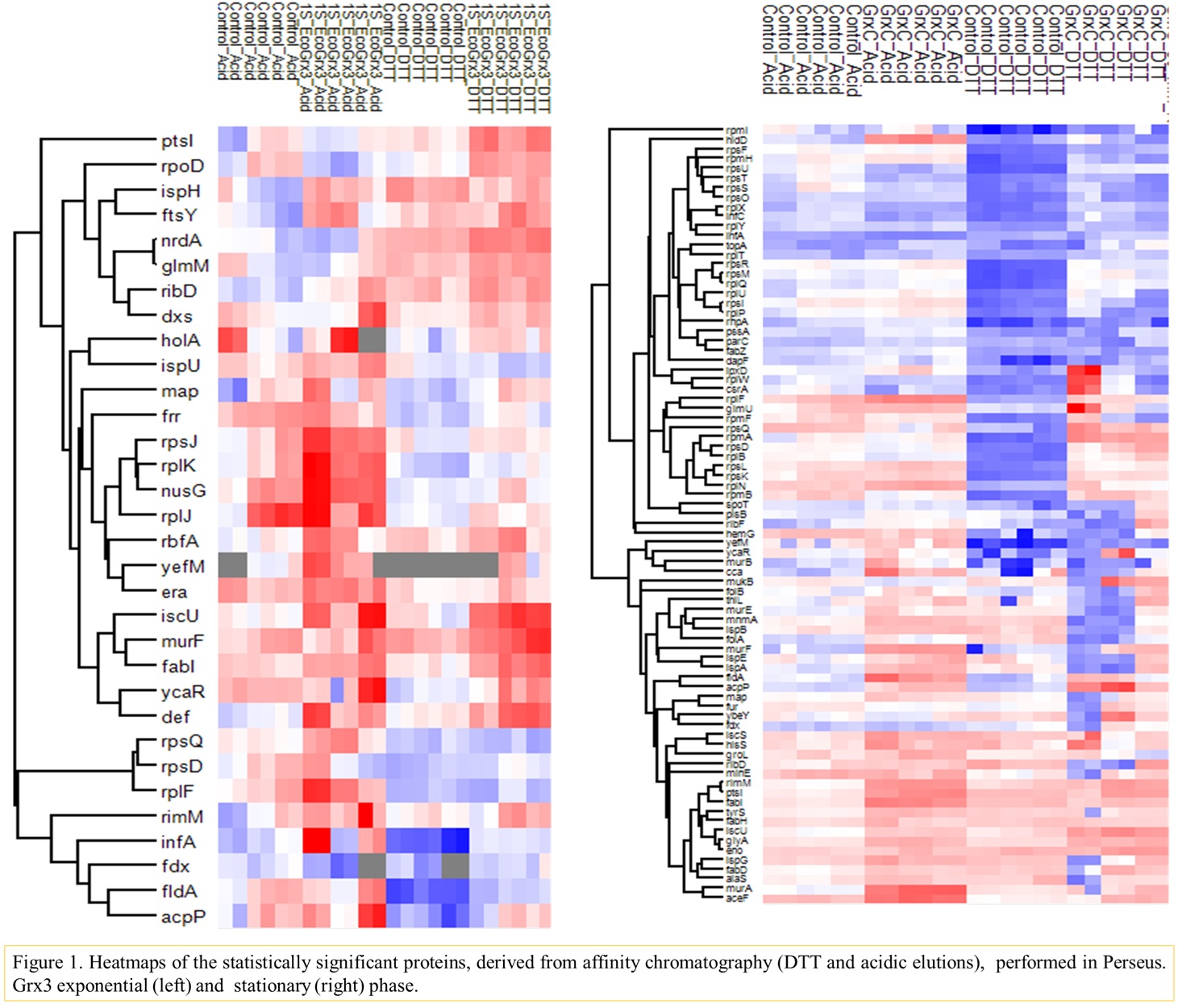 Figure 1 Heatmaps of the statistically significant proteins