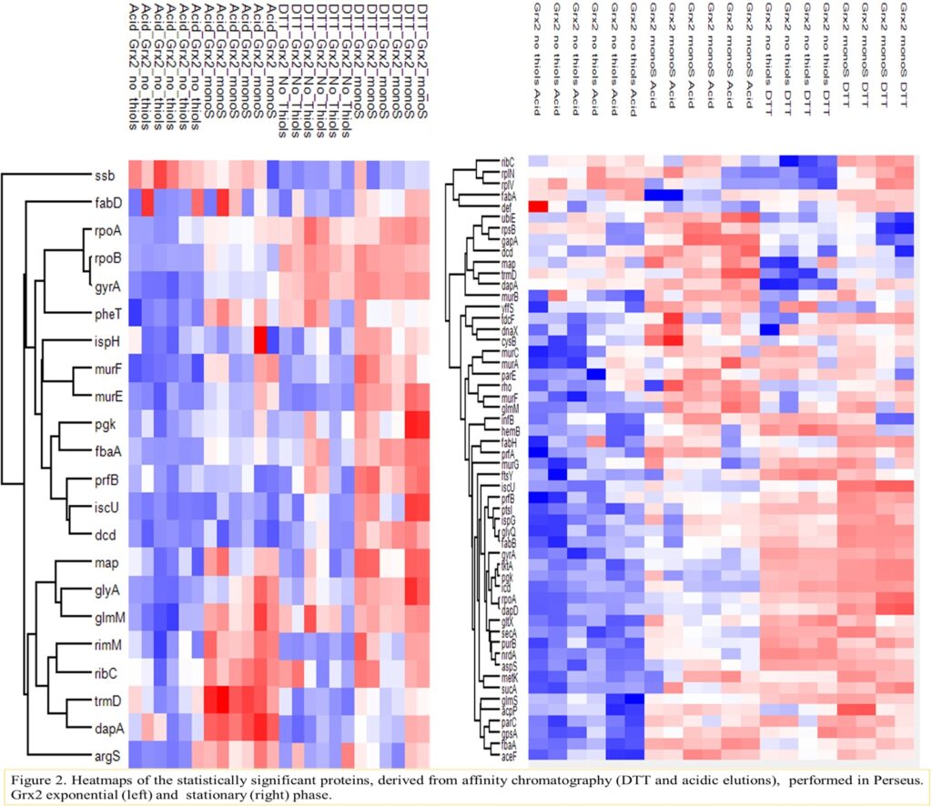 Figure 2. Heatmaps of the statistically significant proteins