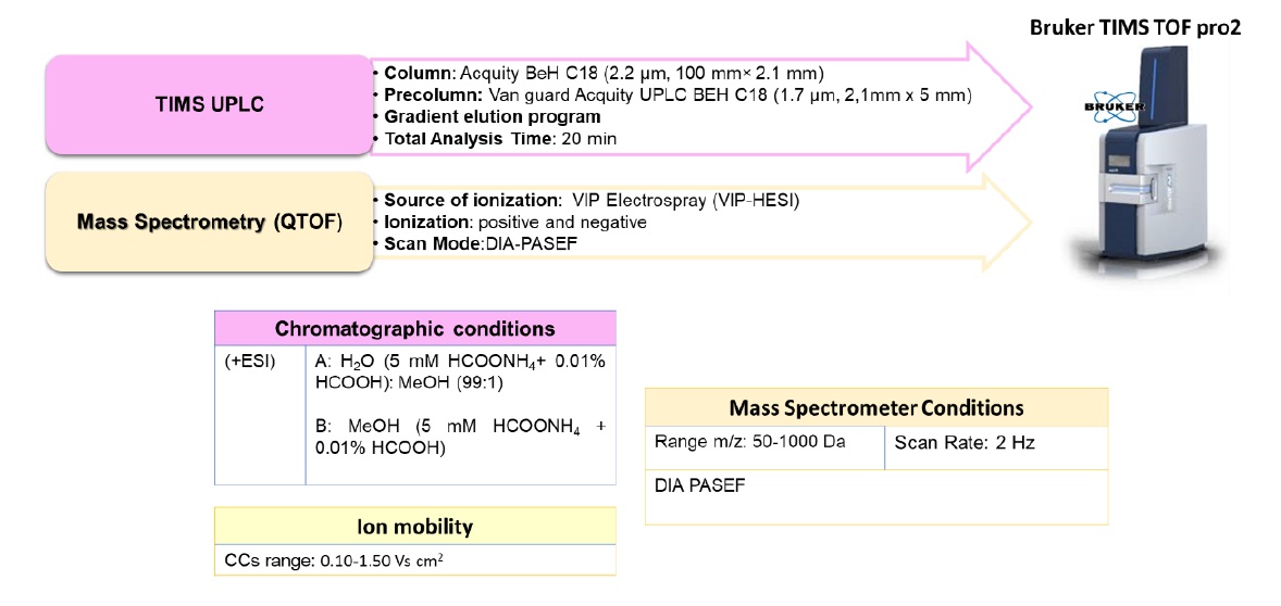 The instrumental conditions