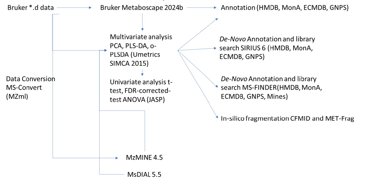 data analysis of the experiment results 